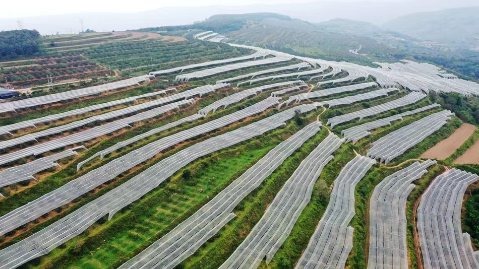 微信图片_20240902160621