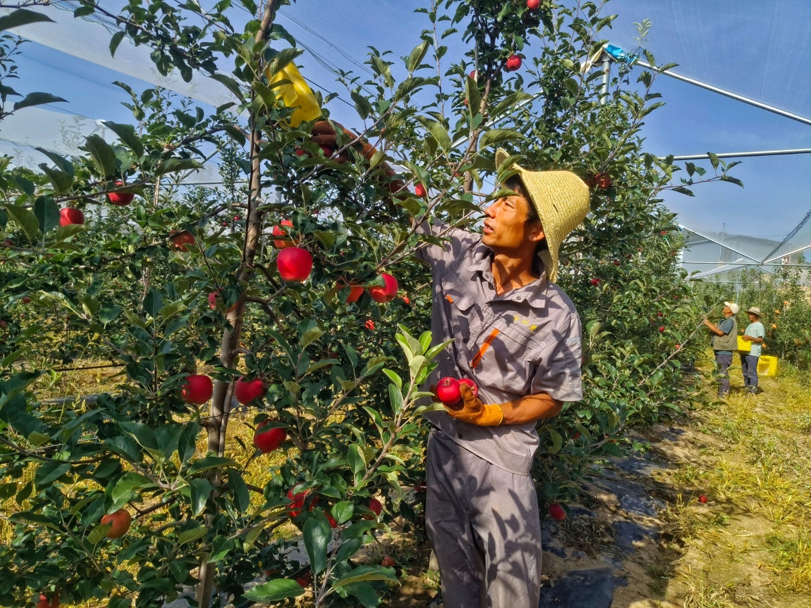 微信图片_20240902160606