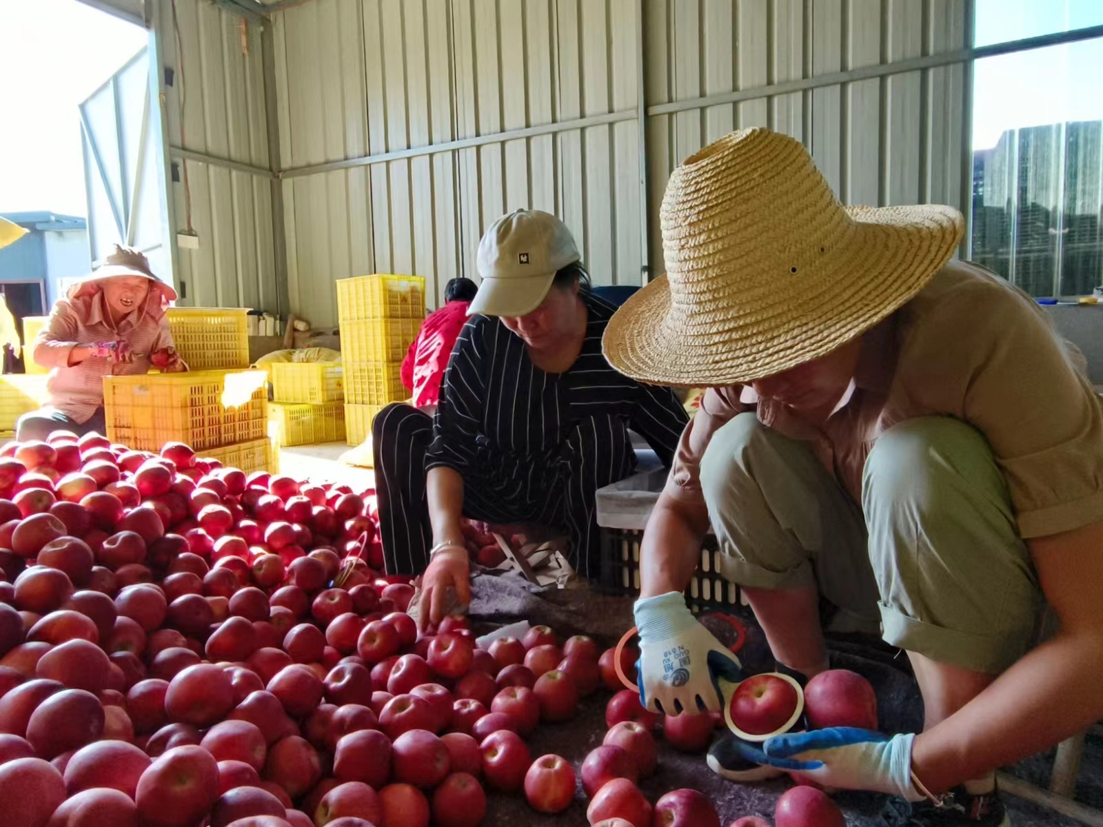 微信图片_20240902160610