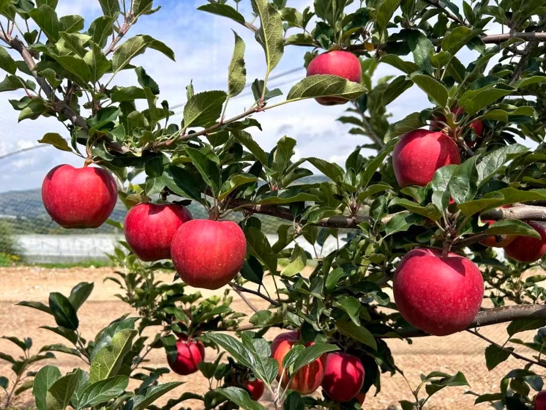 微信图片_20240902160600