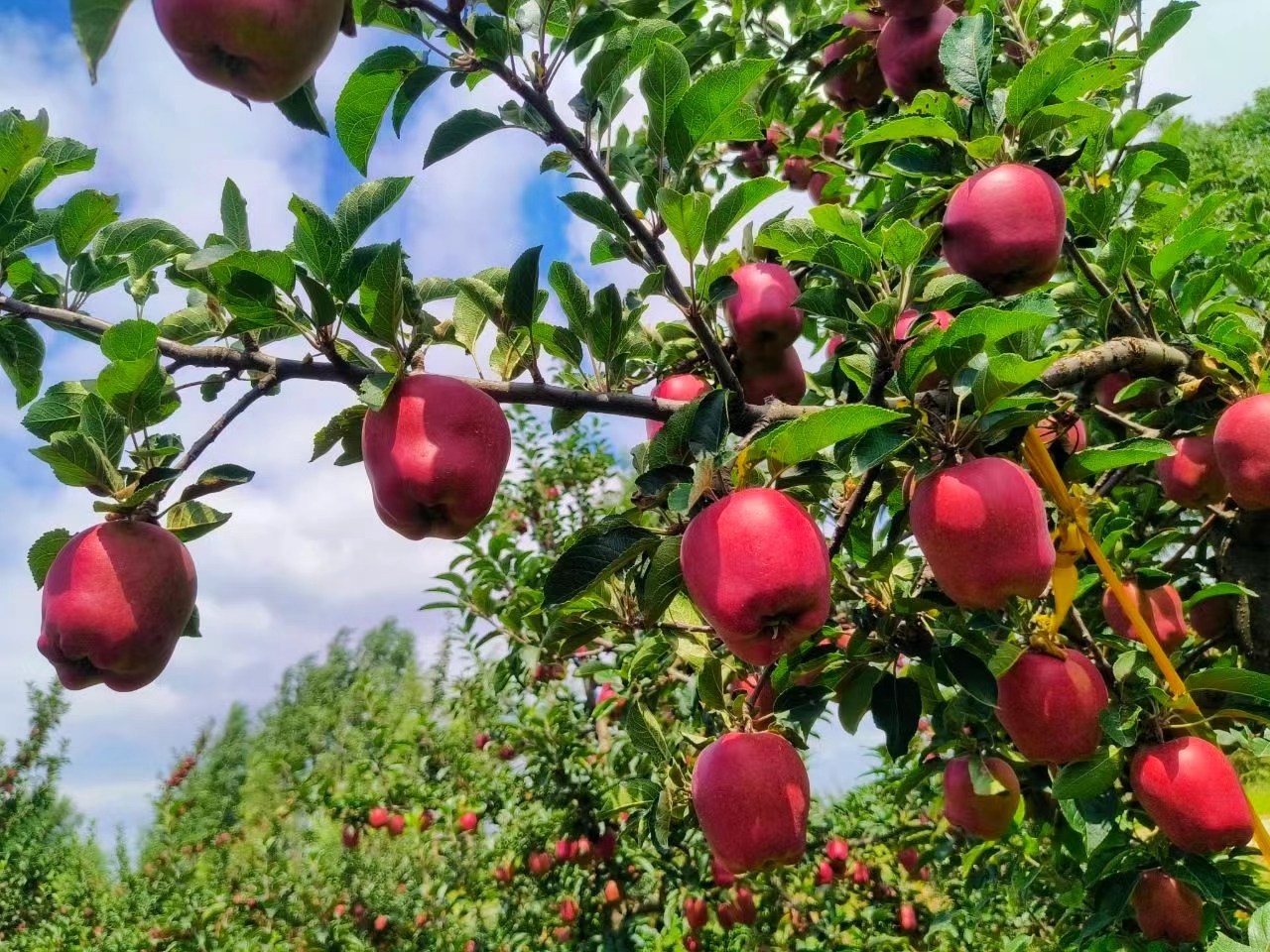 微信图片_20240902160617