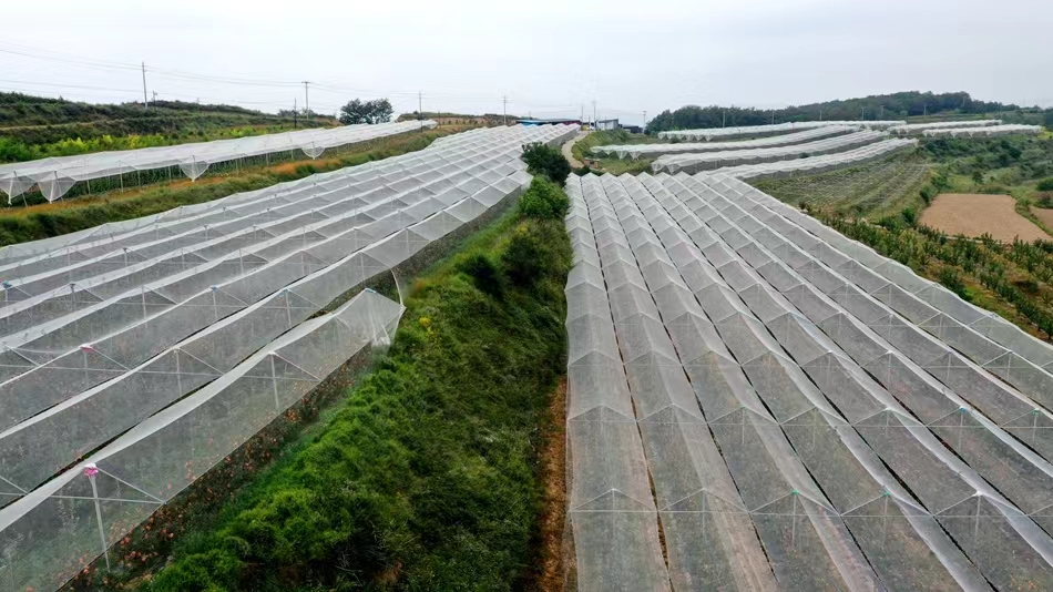 微信图片_20240902161200