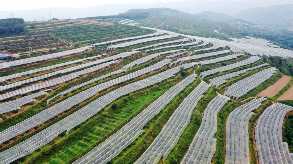 微信图片_20240829152335