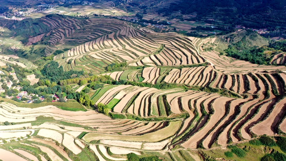 微信图片_20240919114320_副本