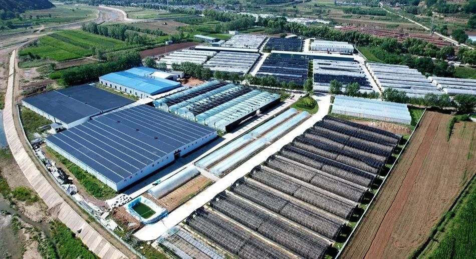 1722334732050023294.png image.png