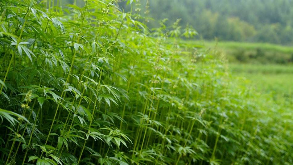 微信图片_20240717103926