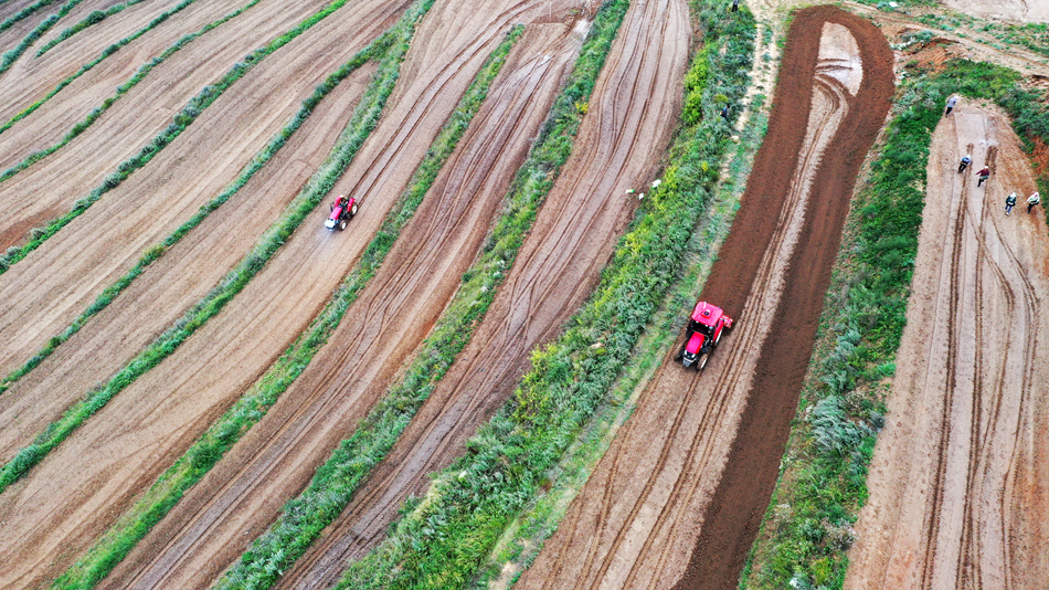 微信图片_20240914091422