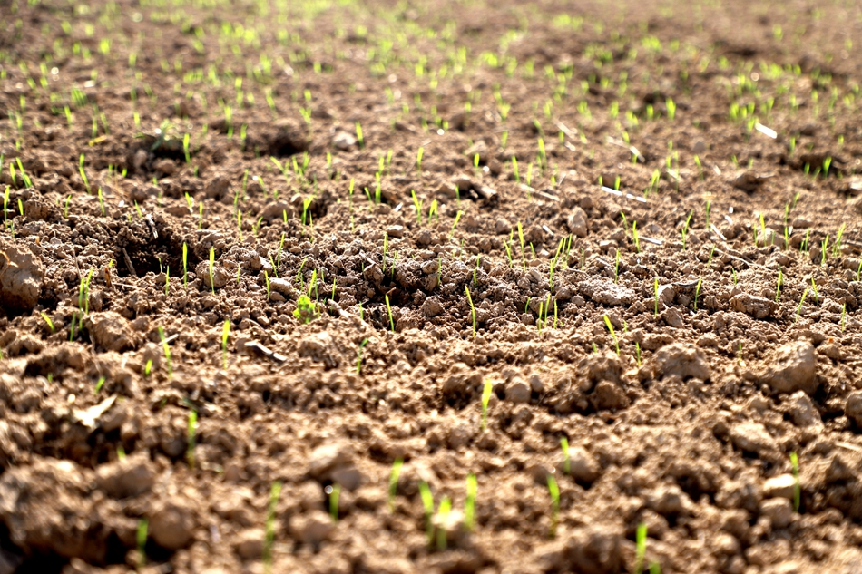 微信图片_20240919114305_副本