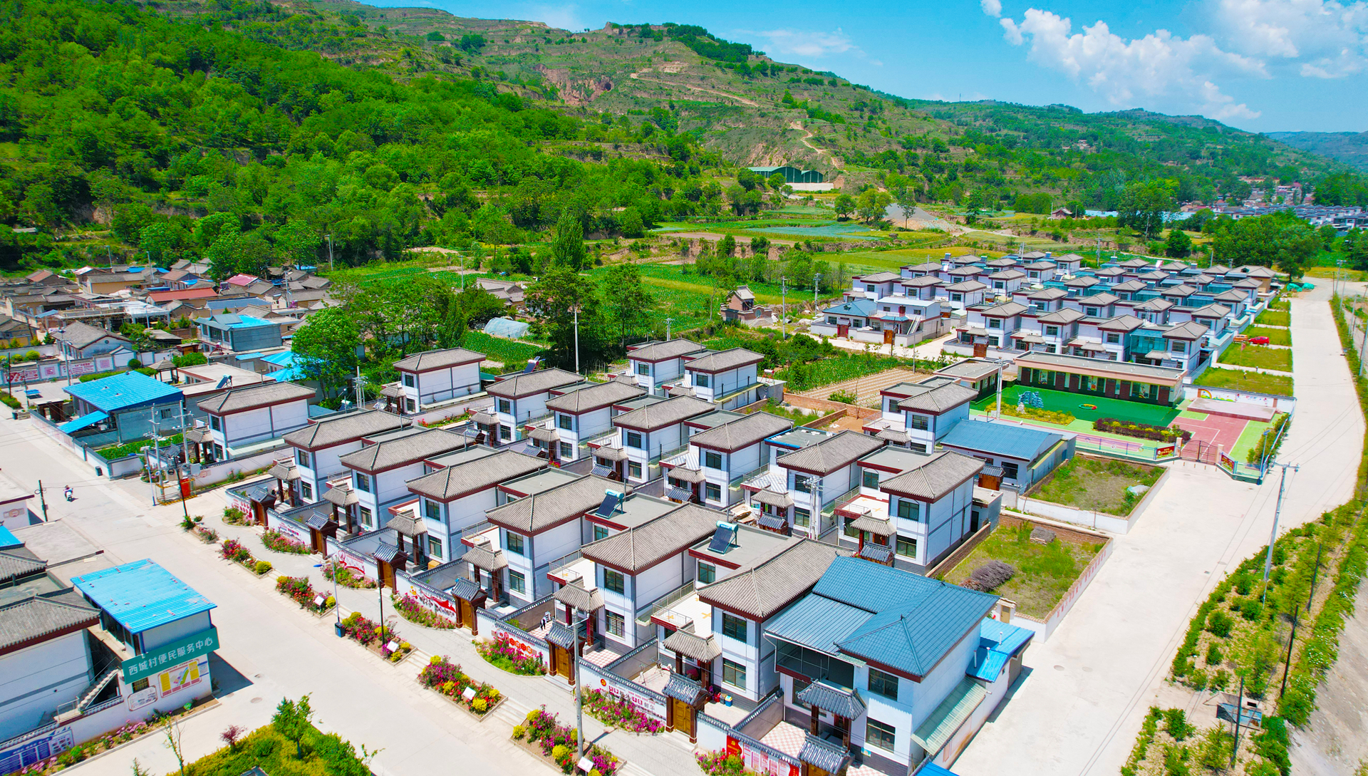 微信图片_20240920121346_副本