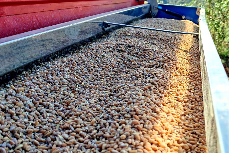 微信图片_20240925165531