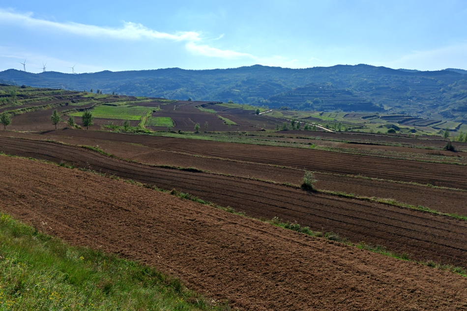 微信图片_20240925165341