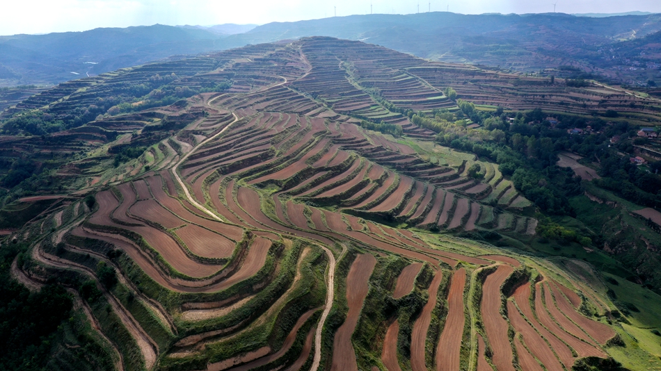 微信图片_20240919114336_副本