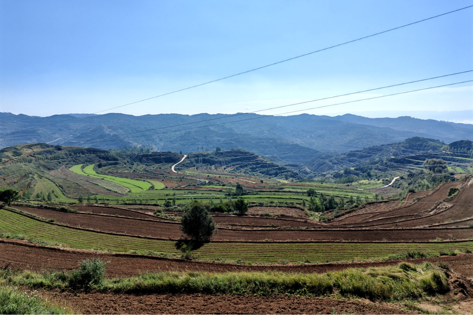 微信图片_20240925165510