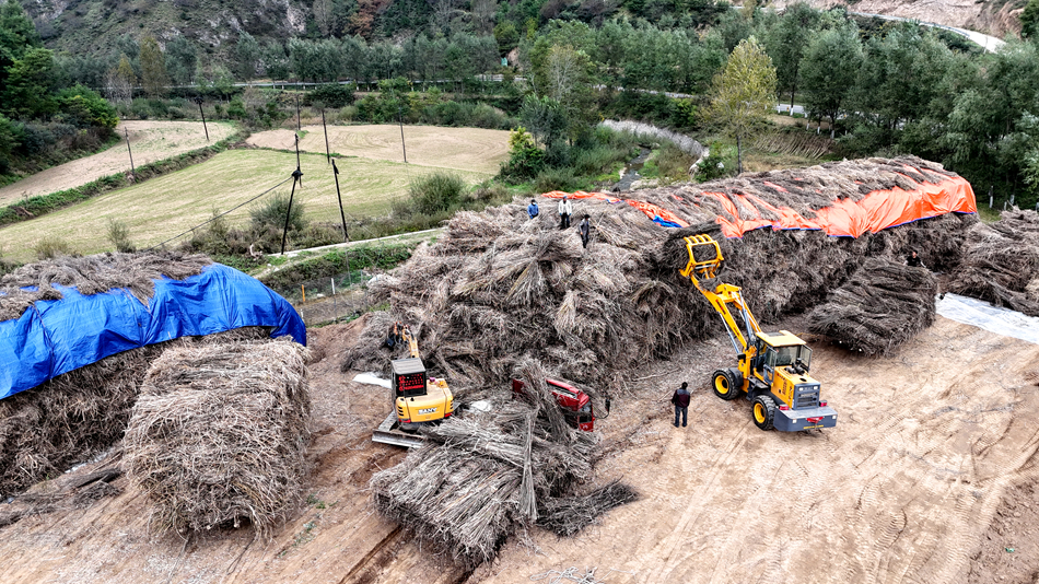 微信图片_20241009161403