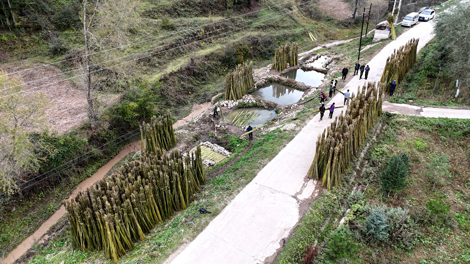 微信图片_20241009161352