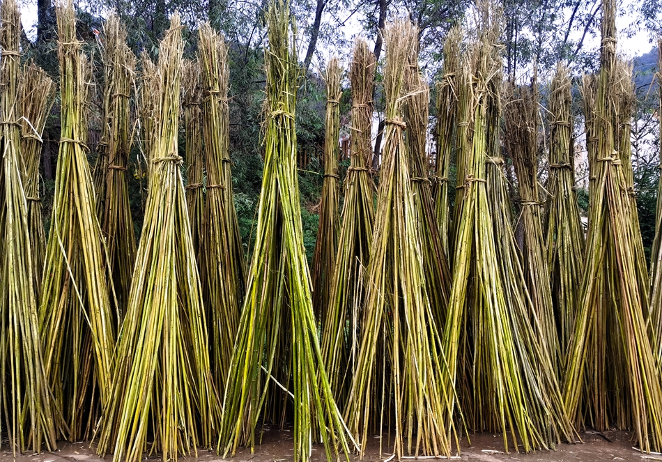 微信图片_20241009111207