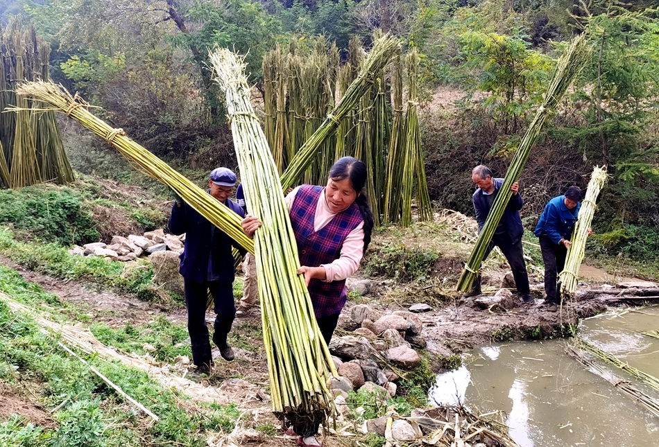 微信图片_20241009111348