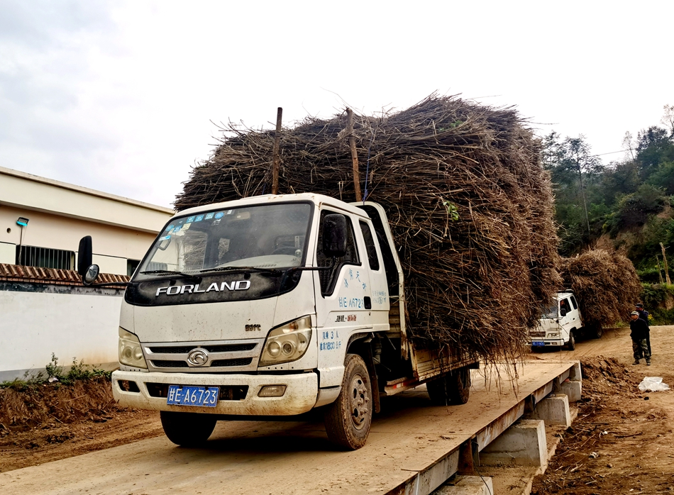 微信图片_20241009111410