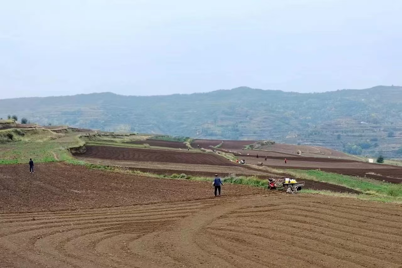 微信图片_20240918203855(1)