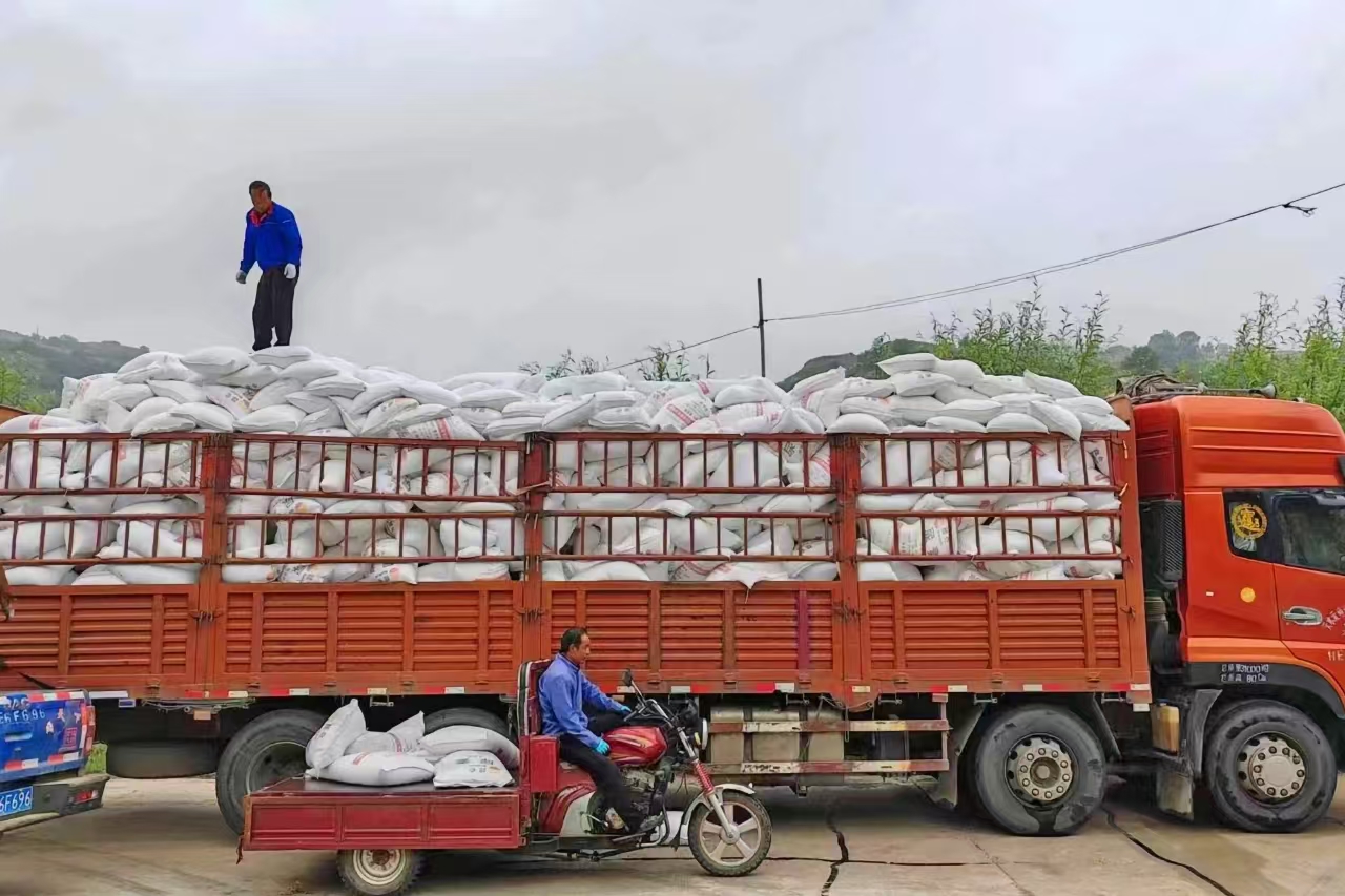 微信图片_20240918201834(1)