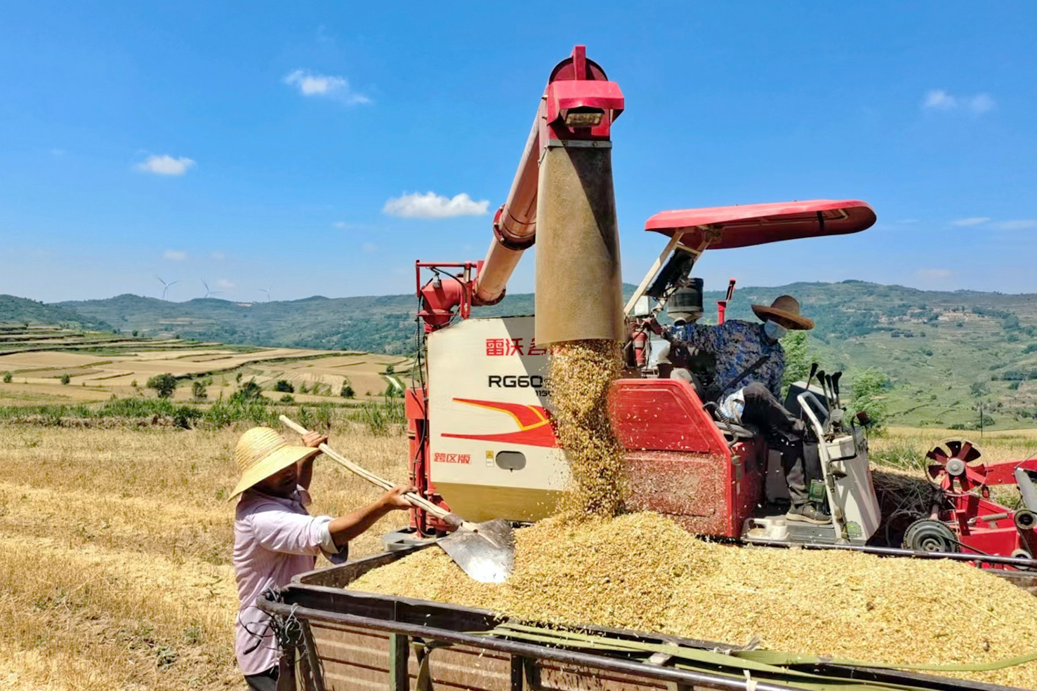 1719389431942045931(1)