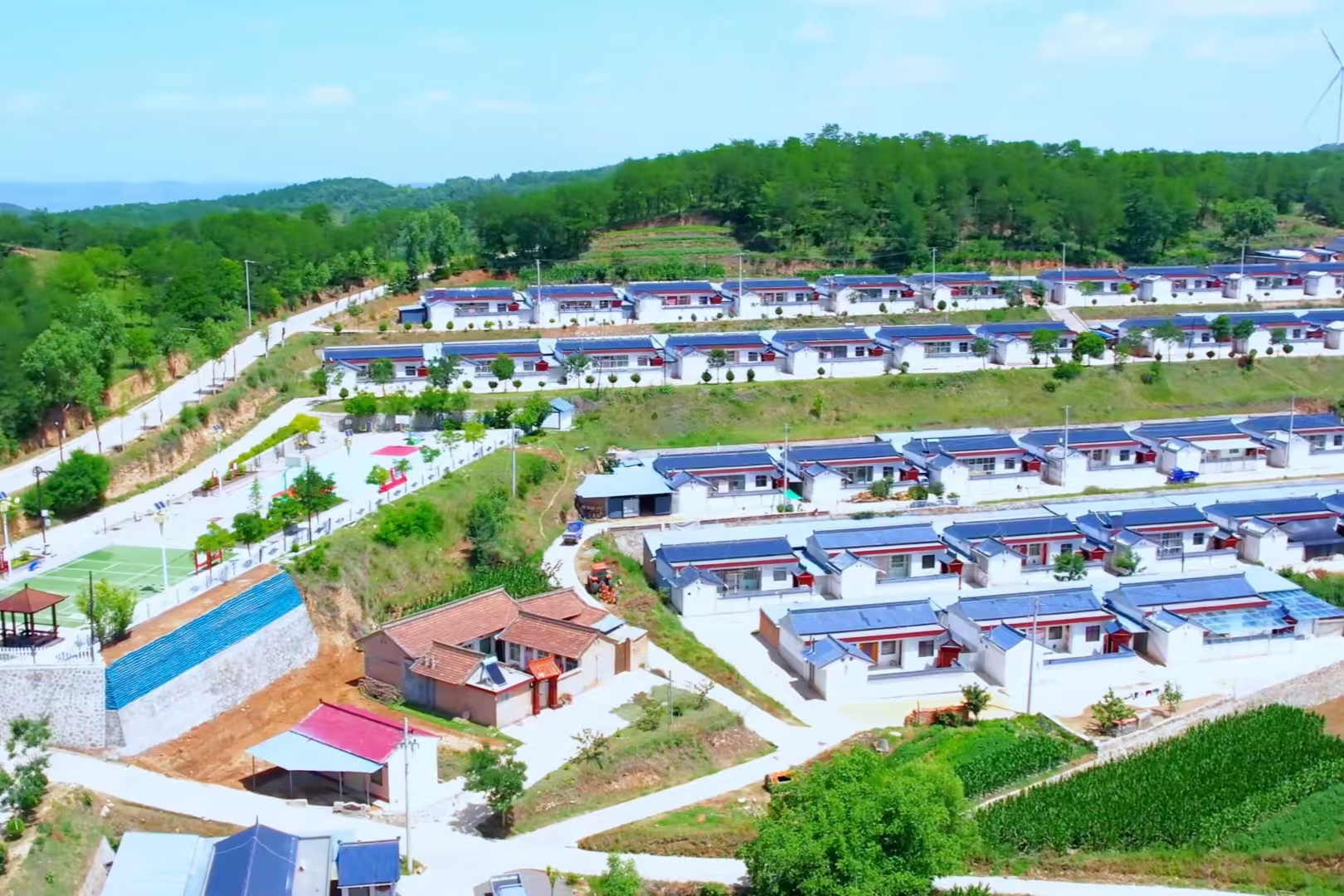 微信图片_20240918200020(1)