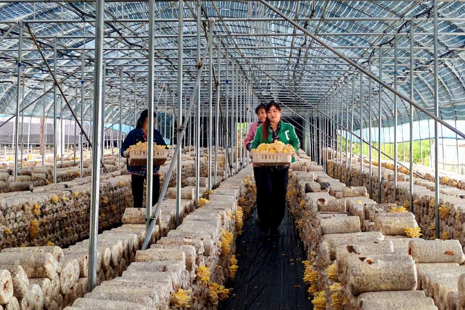 微信图片_20240819170952