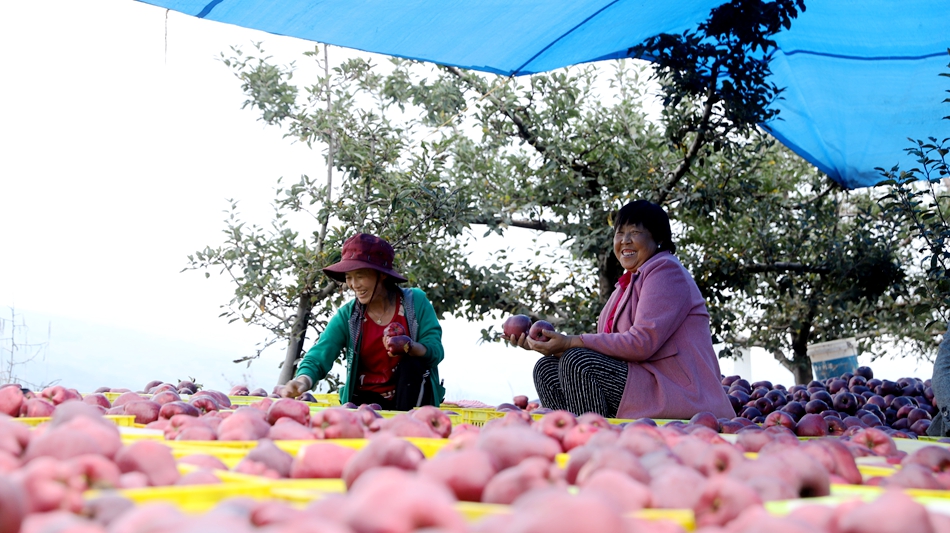 微信图片_20240913101830