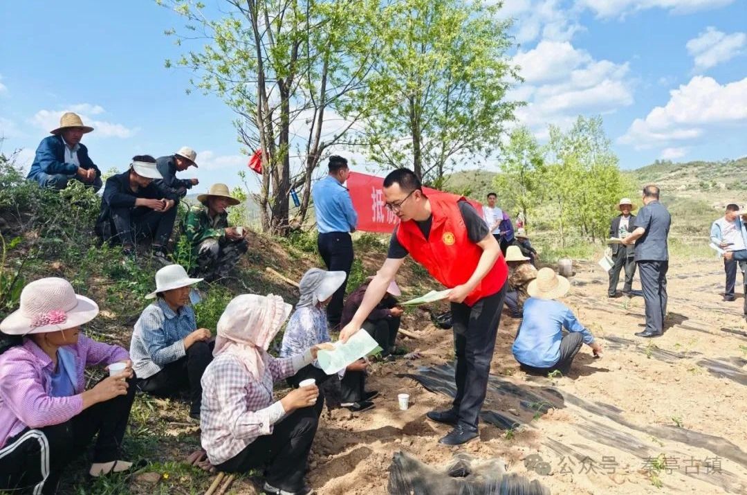 1728977942255013846.jpg 1728977942255013846.jpg