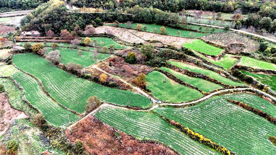 DJI_20241014165316_0525_D