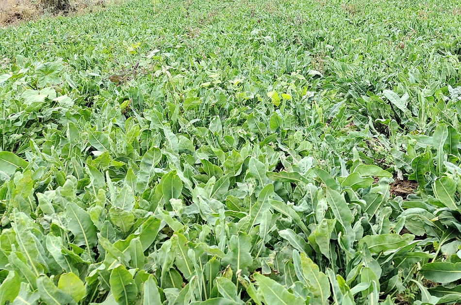 微信图片_20241015153724