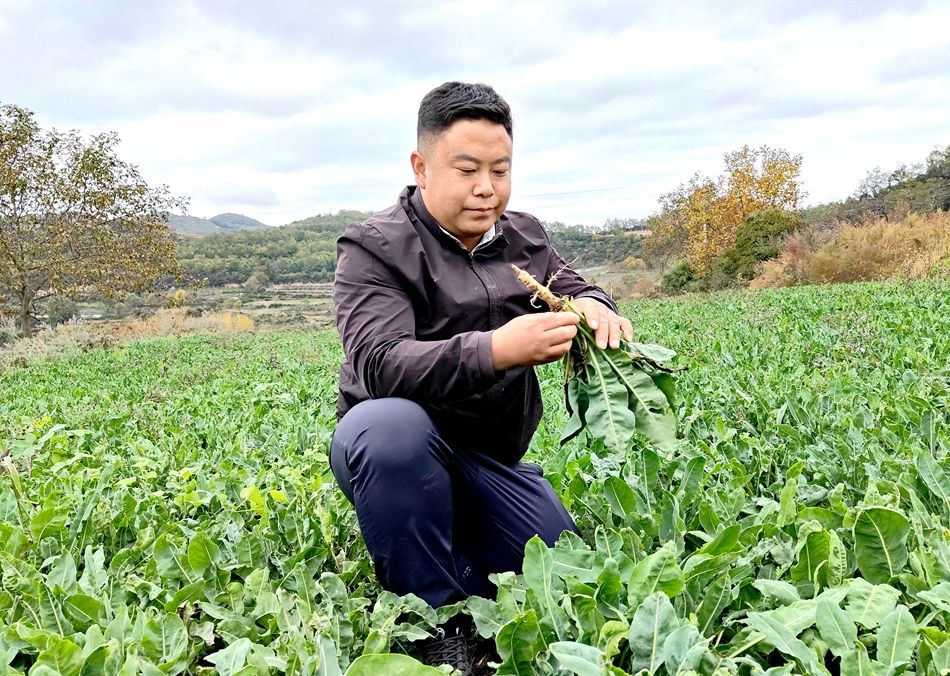 微信图片_20241015153730