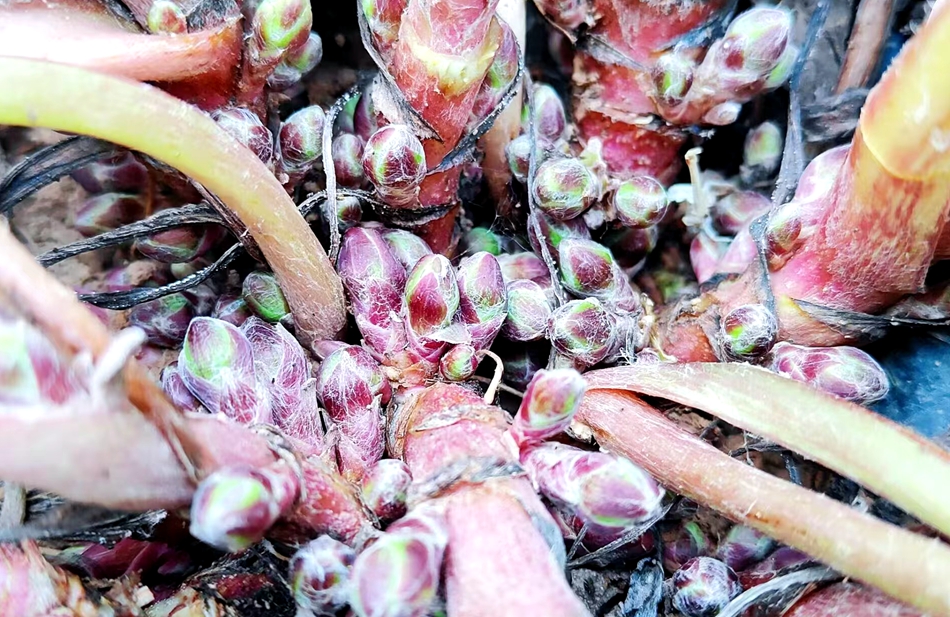 微信图片_20241015153758