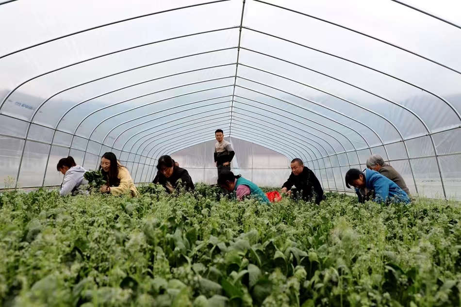 微信图片_20241016202324