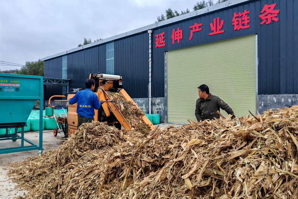 微信图片_20241024174512