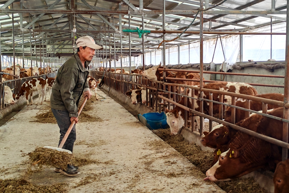 微信图片_20241024174535