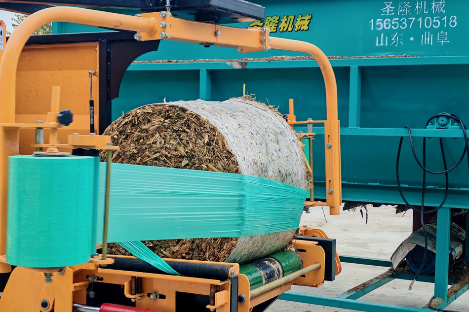 微信图片_20241024174519