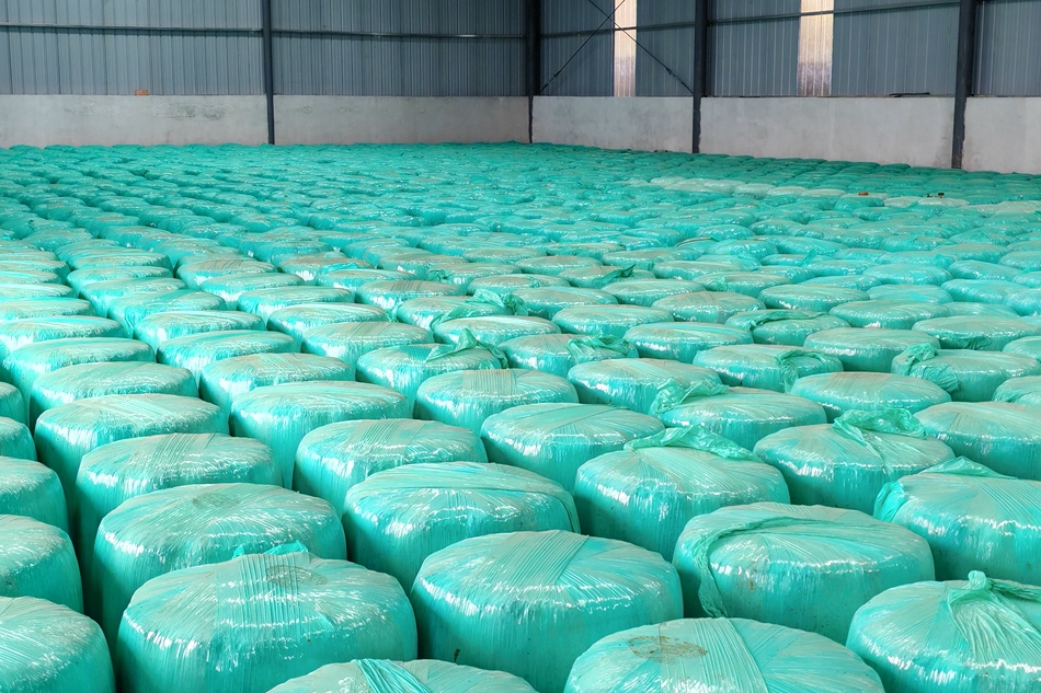 微信图片_20241024174527