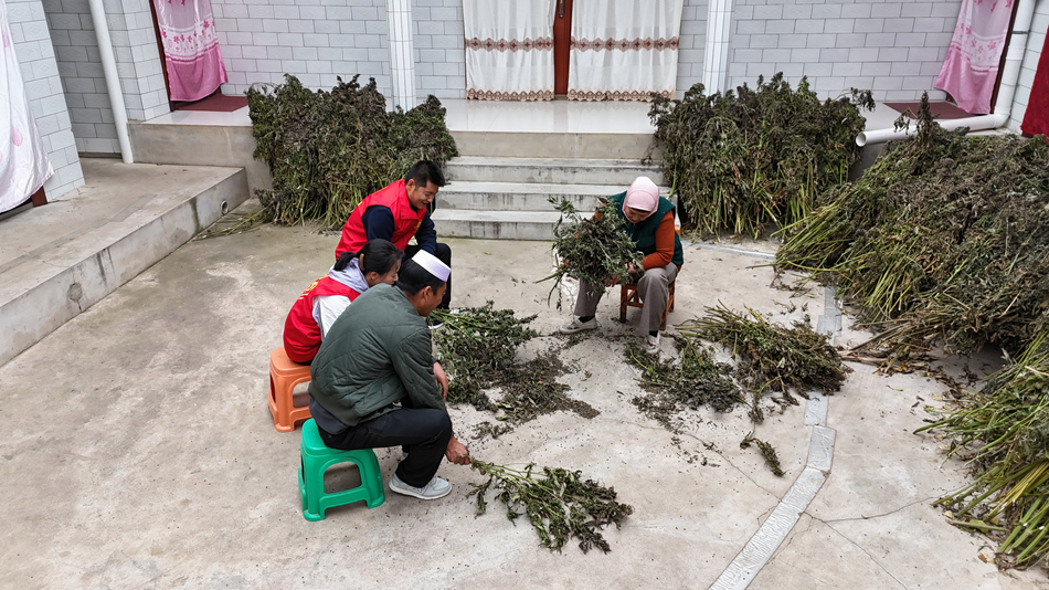 DJI_20241023104557_0181_D