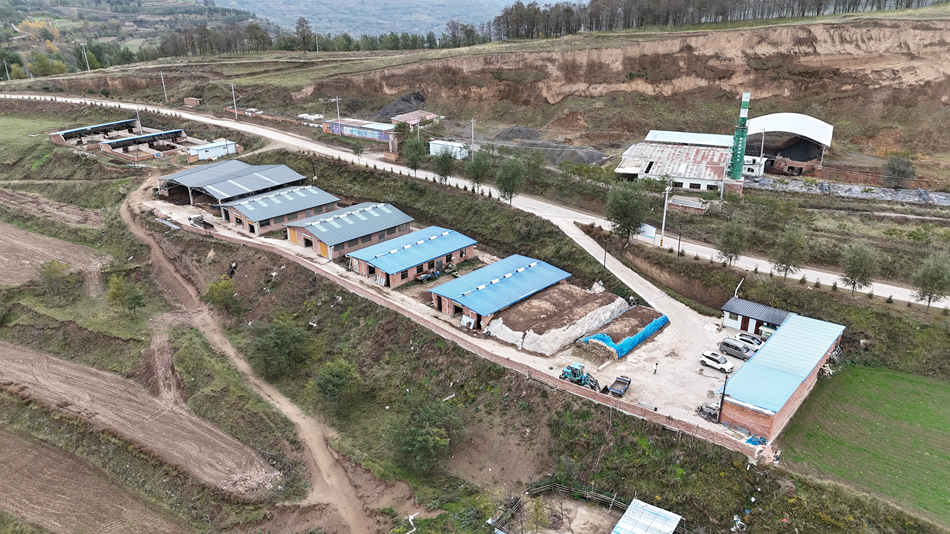 DJI_20241023114212_0183_D