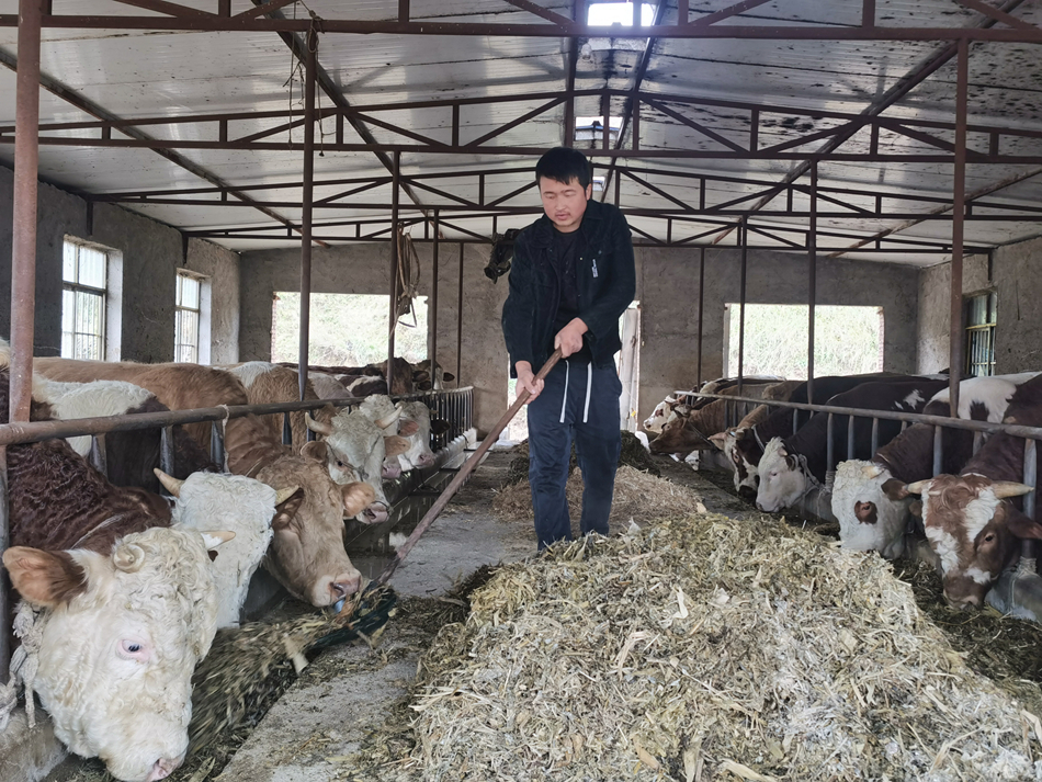 2f341dec145c1037082b4f6ec56fa73