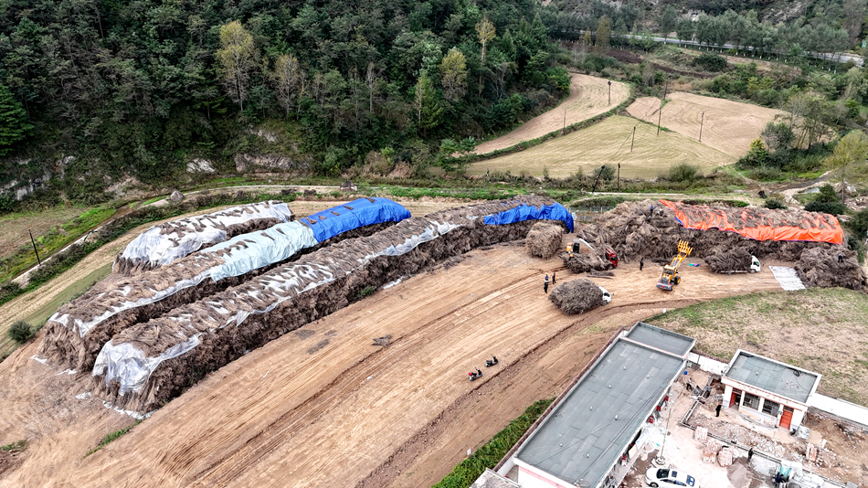 微信图片_20241009161359