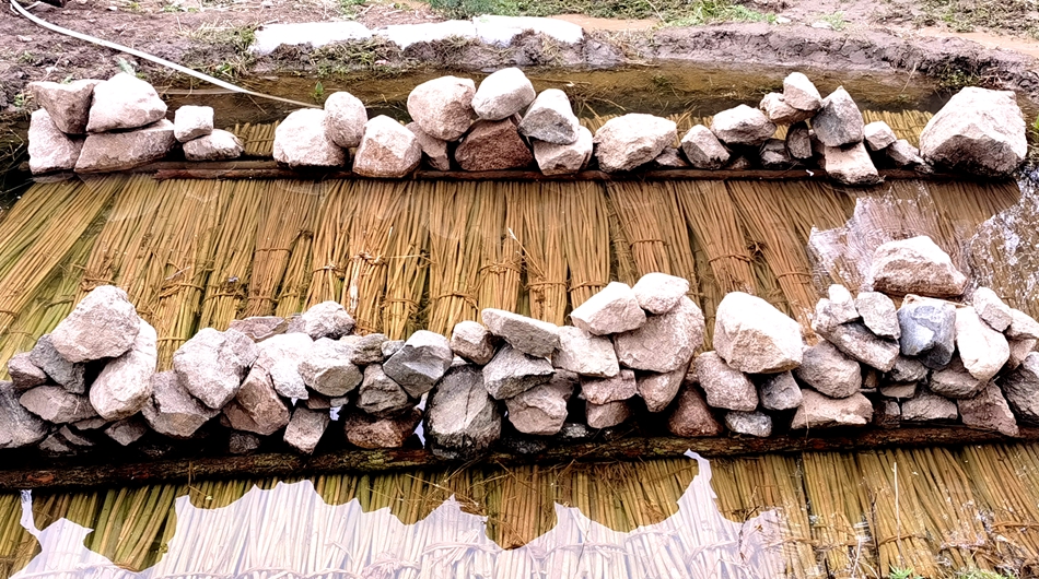 微信图片_20241009111339