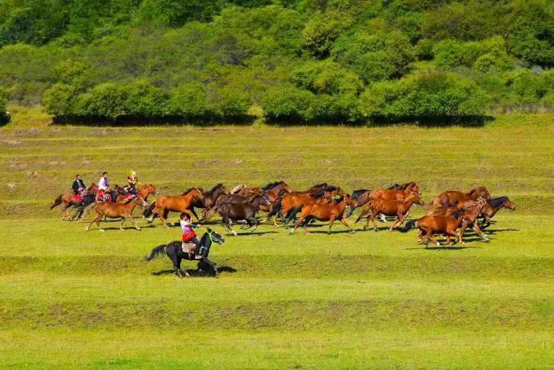 微信图片_20240809170019