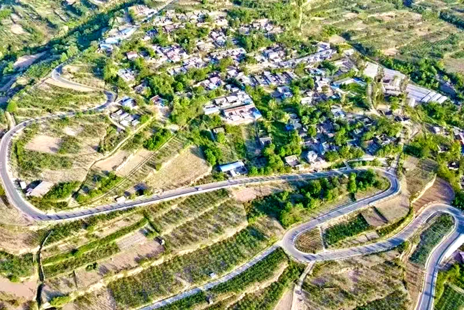 微信图片_20241016163736