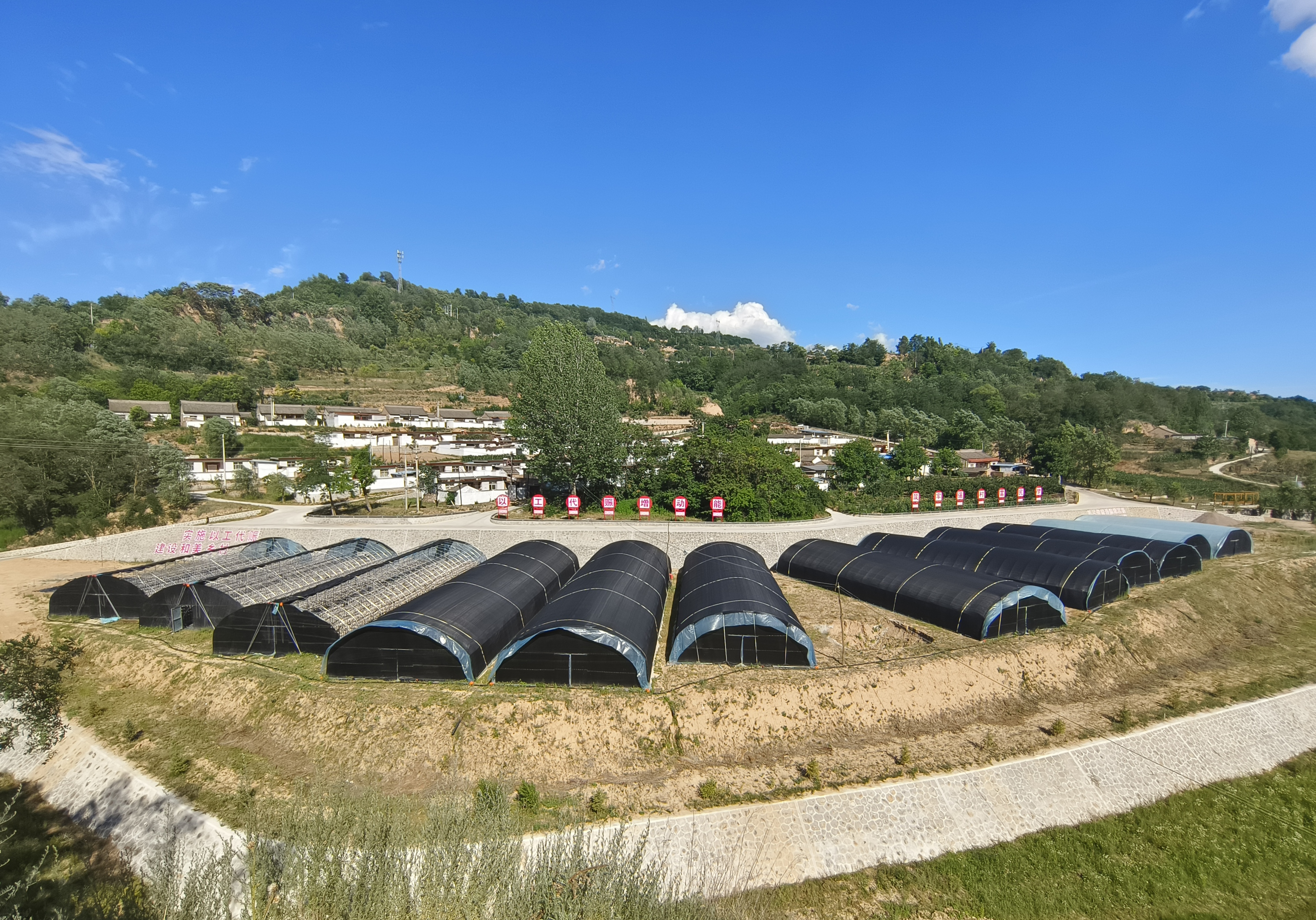 mmexport1731245681138