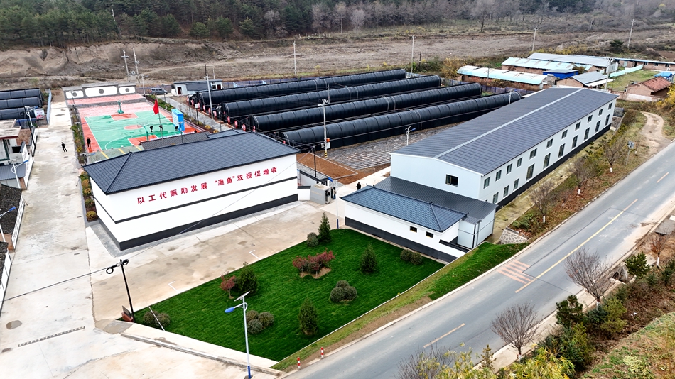 微信图片_20241113145049