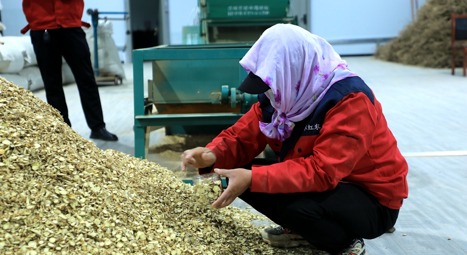 微信图片_20241113145013