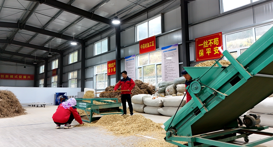 微信图片_20241113145043