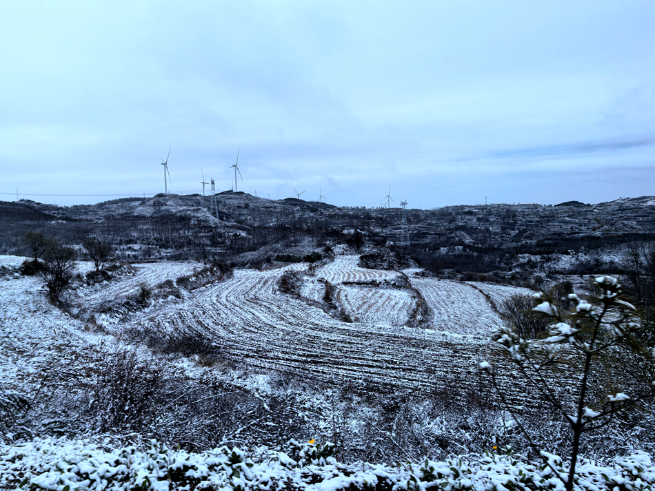 微信图片_20241118153054